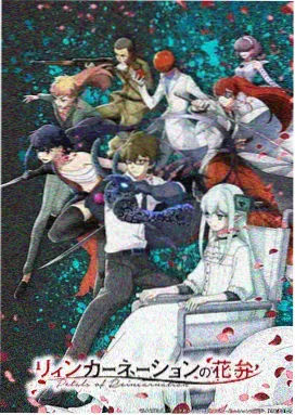 间谍过家家 动漫在线观看免费完整版