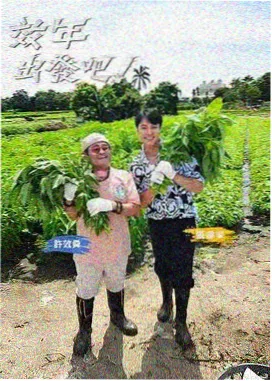 中餐厅 综艺在线观看免费完整版